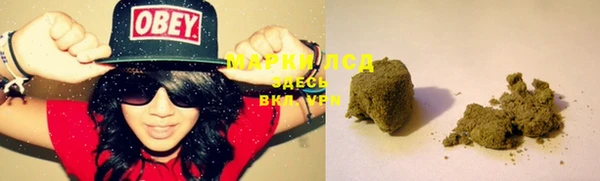 PSILOCYBIN Наволоки