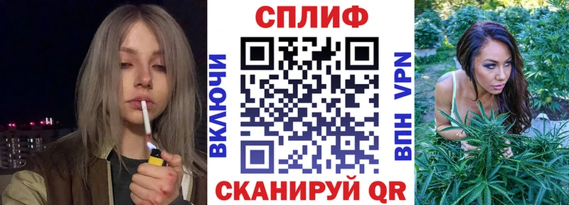 Бошки Шишки MAZAR  Багратионовск 