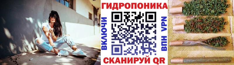 Канабис конопля Багратионовск